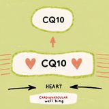 CoQ10 and Cardiovascular Health: What Cardiologists Say vs. What the Marketing Claims