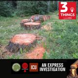 Express Investigation: The myth of afforestation and a dubious teak trail