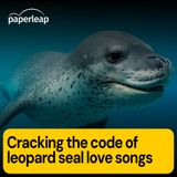 Cracking the code of leopard seal love songs
