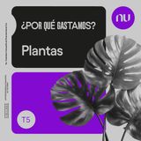 Plantas: ¿por qué cuidarlas se volvió una forma de cuidarnos?