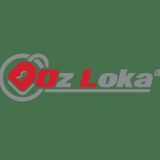 Seismic Solutions The Importance of Earthquake-Safe Lockers in New Zealand