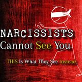 Episode 270: Narcissists Cannot See You | THIS Is What They See Instead