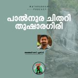 പാല്‍നുര ചിതറി തുഷാരഗിരി |  Thusharagiri Waterfalls