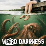 The Lake Monster Nobody in Oklahoma Has Ever Seen... Or Ever Even Heard Of
