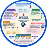 EP- 322 |Diabetes Blood Report Made Simple — ডায়াবেটিসের রক্ত রিপোর্ট সহজ ভাষায়| Diabetic wellness series