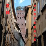 Torre Guinigi e torri di Lucca