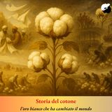 Storia del cotone, l’oro bianco che ha cambiato il mondo