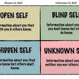 Episode 132 Blind Spots and the Johari Window