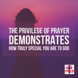 The Privilege of Prayer is a Demonstration of How Truly Special you are to Him