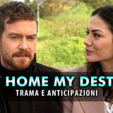 Anticipazioni My Home My Destiny, Puntate Turche: Zeynep Si Innamora Di Baris!