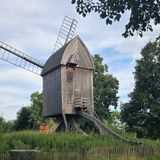 25. August 2026 | Spandau (Gatow) | Wasser, Sonne, Wälder, Rieselfelder, Villa Lemm, Windmühle und Dorfkirche
