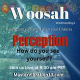 Woosah Wednesday - Perception