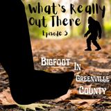 Bigfoot in Greenville County pt.1