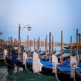 61ª Biennale di Venezia  - Russia ritorna, la giuria si dimette