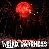 RENDLESHAM FOREST: UFOs, Cover-Ups, and the Men in Black