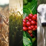 Geopolítica, custos e clima no radar do mercado | BBcast Agro - 16/03/2026