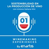 Sostenibilidad en la producción de vino con Unione Italiana Vini