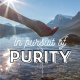 In Pursuit of Purity