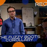 The Big Bang Theory The Fuzzy Boots Corollary