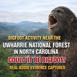 Bigfoot Activity Near the Uwharrie National Forest | Real Audio Evidence Captured in North Carolina