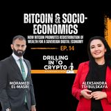 #14 Aleksandra Tsybulskaya on Bitcoin & Socio-economics