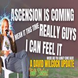David Wilcock EXPOSED! Ascension is coming soon! (He really means it this time!)