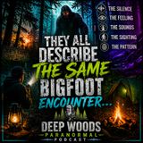 The Bigfoot Encounter Pattern Witnesses Keep Describing