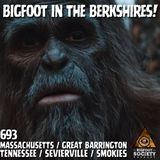 Bigfoot in the Berkshires! | Massachusetts