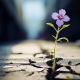 During Caregiving, Managing the Difficult Memories