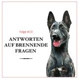 Warum kommst du nicht, wenn ich rufe? Antworten auf brennende Fragen - #13