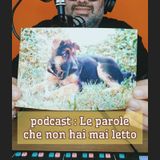 Episodio 1549 - Un ricordo del mio cane...