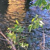 Spiritual Connection