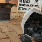 Une foire pour valoriser le charbon minéral à Niamey (Le Niger sur Kalangou)