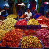 തോവാളയ്ക്ക് പൂമണമാണ്  | യാത്രാവാണി |  Thovalai flower market