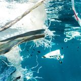 Ogyre, l'ambizioso progetto del "Fishing for litter"