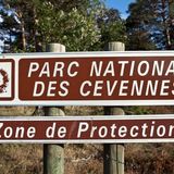 Journée de l'environnement de Saint Ambroix : Parc National des Cévennes