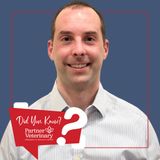A Guide to Elbow Dysplasia Surgery with Board-Certified Surgeon Dr. Dominic Valenzano
