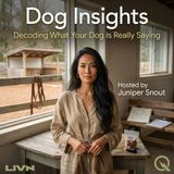 Dog Insights - Misbehavior Is a Message: The Functional Analysis of What Your Dog Actually Wants