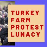 TURKEY FARM PROTEST LUNACY