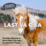 The Last Q&A from VA