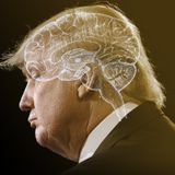 "Donald Trump’s Path to the White House: The American Success Story That Redefined Leadership"