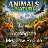 Among the Meadow People - Clara Dillingham Pierson