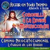 CORONILLA A LA DIVINA MISERICORDIA DE HOY. MARTES 17 DE JUNIO 2025. 🙏 REZAR EN TODO TIEMPO.       
