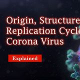 Origin,Structure and Replication cycle of corona virus explained in detail