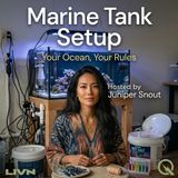 Marine Tank Setup - Picking Your Perfect Tank (And Where to Put It)