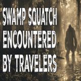 Swamp Squatch is Seen by Travelers