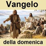 Omelia XV Domenica T. Ord. - Anno A (Mt 13, 1-23)