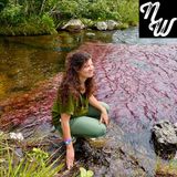 Episode #124: Claire McQue