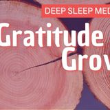 Fall Asleep Fast Sleep Meditation to build Gratitude for your Growth _ Mindful Movement