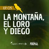 Capítulo 5: La montaña, el loro y Diego